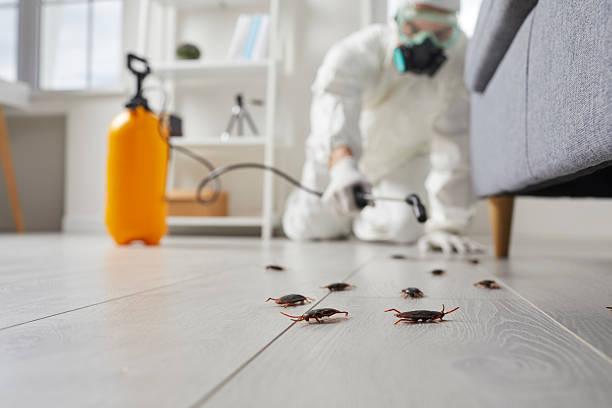 Commercial Kitchen Cockroach Control in Princess Anne